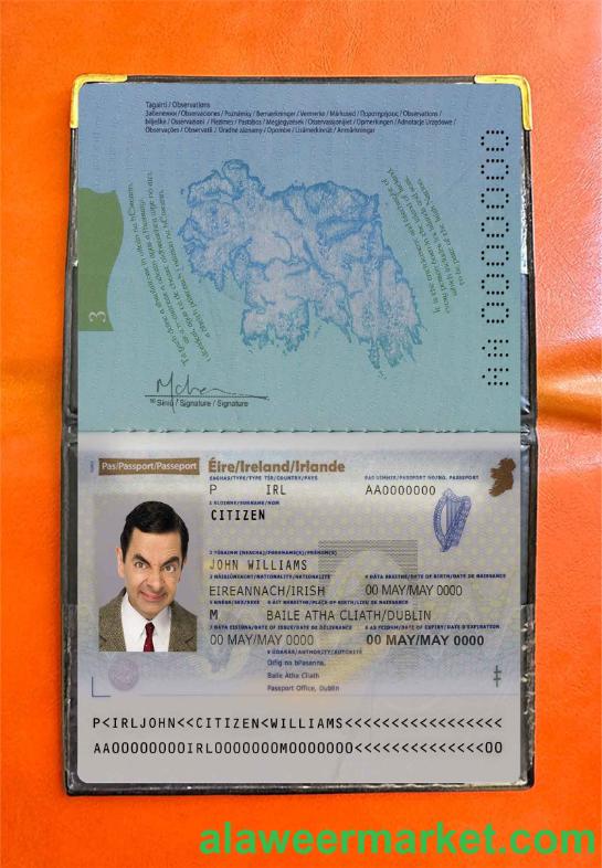 Ireland passport photo look